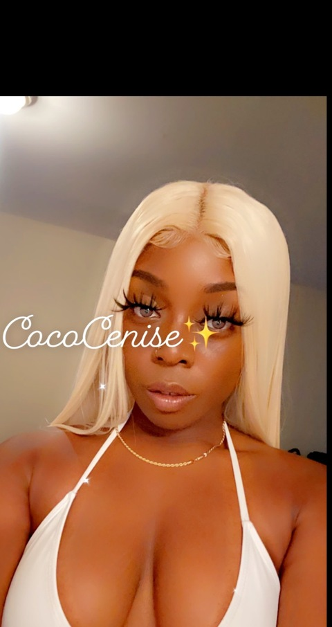 Header of cococenise