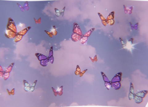 Header of coolbutterfly
