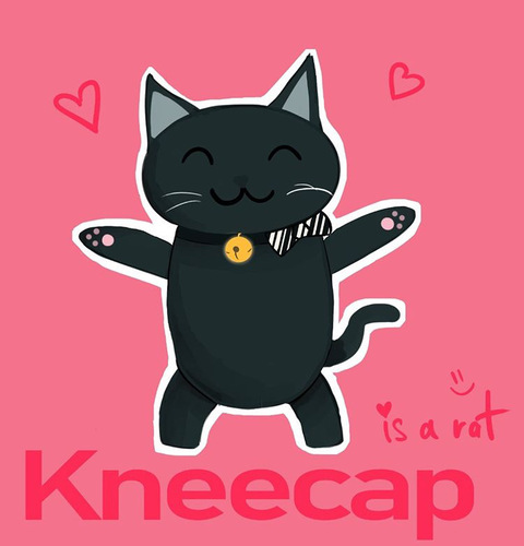 Header of kneecap