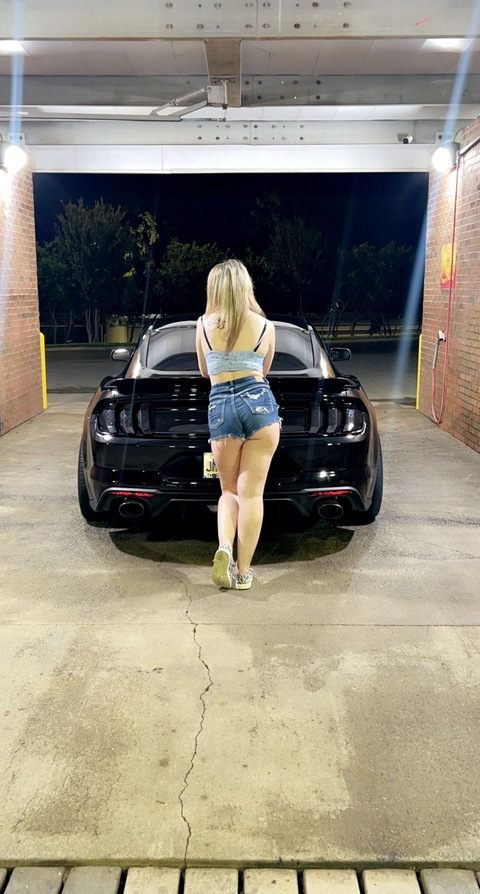 mustangchick4727 onlyfans leaked picture 1
