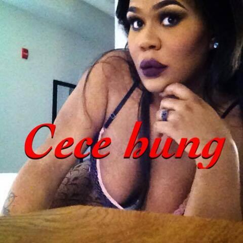 mz_cece_hung onlyfans leaked picture 1