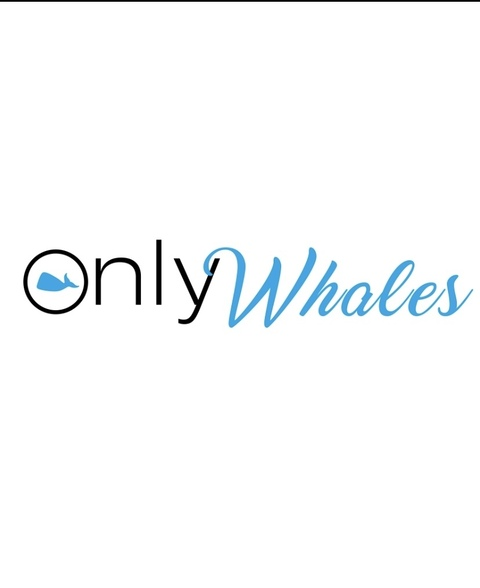 onlywhalesbetting onlyfans leaked picture 1