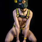 Download pupvoltzy OnlyFans videos and photos for free 

 profile picture