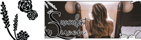Header of queensucculent