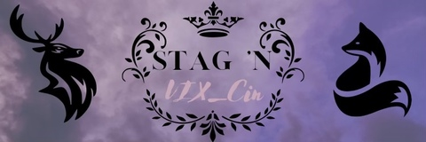 stag2vix_cin onlyfans leaked picture 1