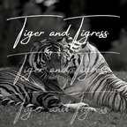 tigerandtigress OnlyFans Leaked (49 Photos and 32 Videos) 

 profile picture